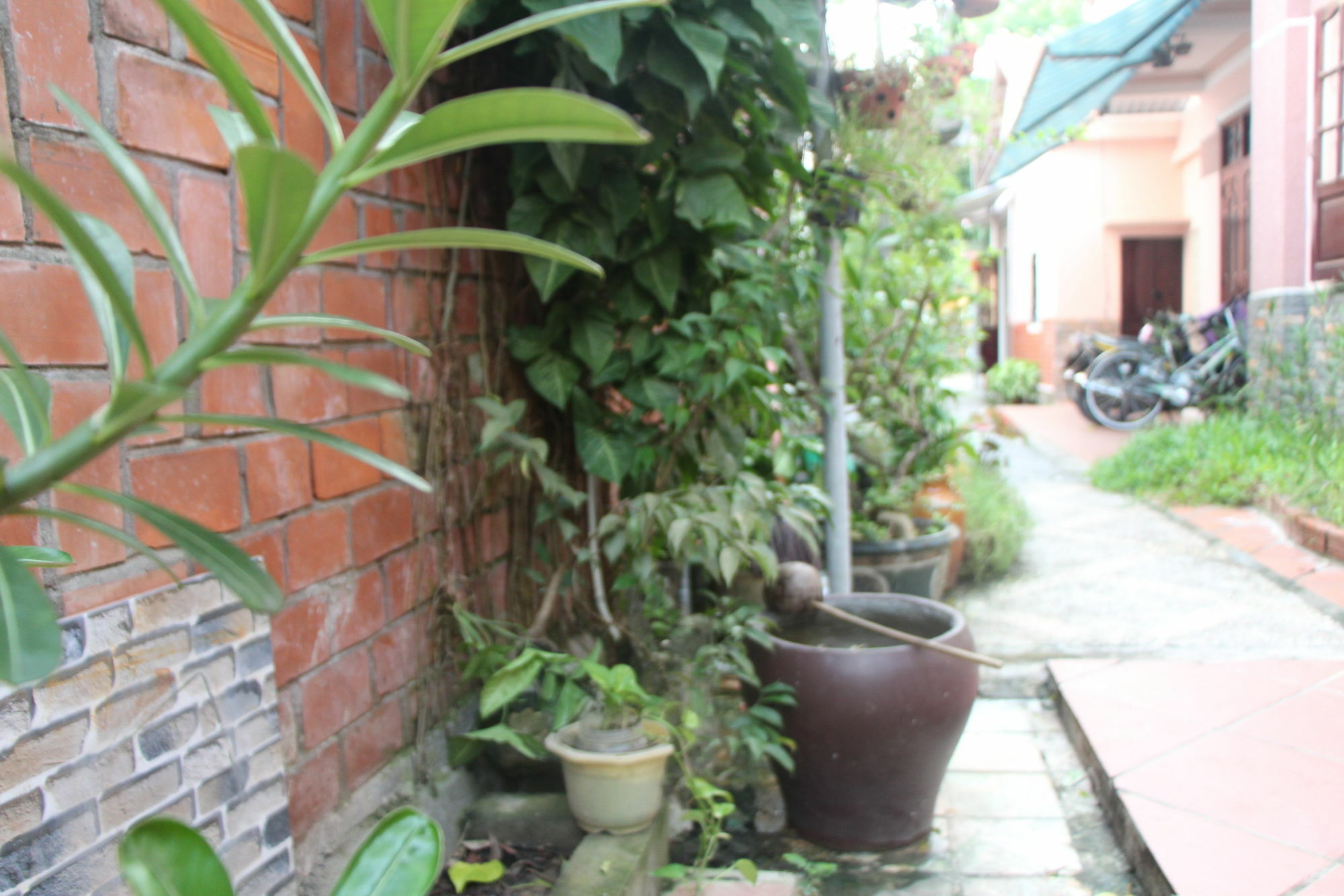 Red Ceramics Homestay Хойан Экстерьер фото