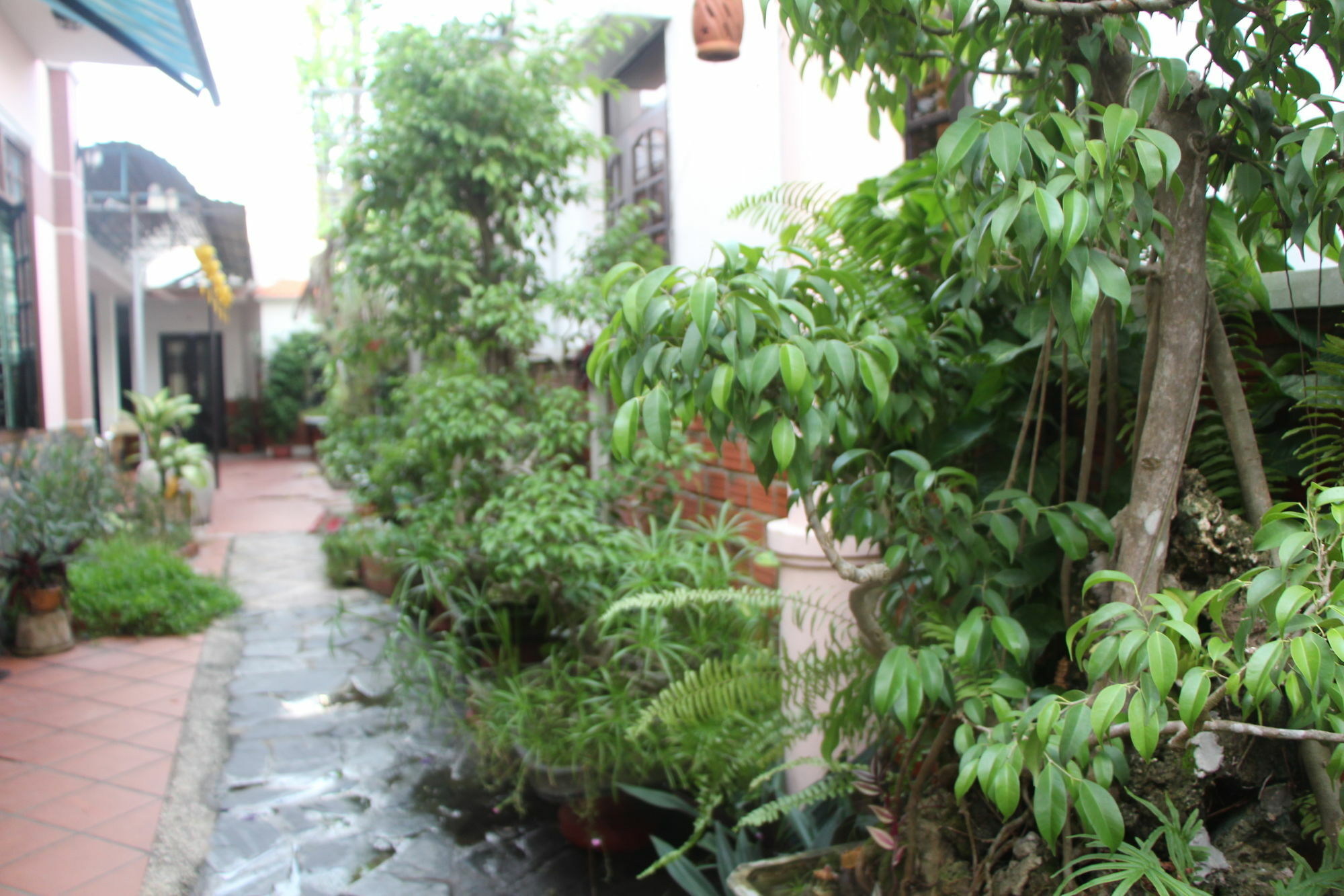 Red Ceramics Homestay Хойан Экстерьер фото